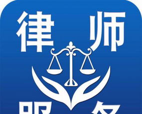 專業法律糾紛代理服務解析